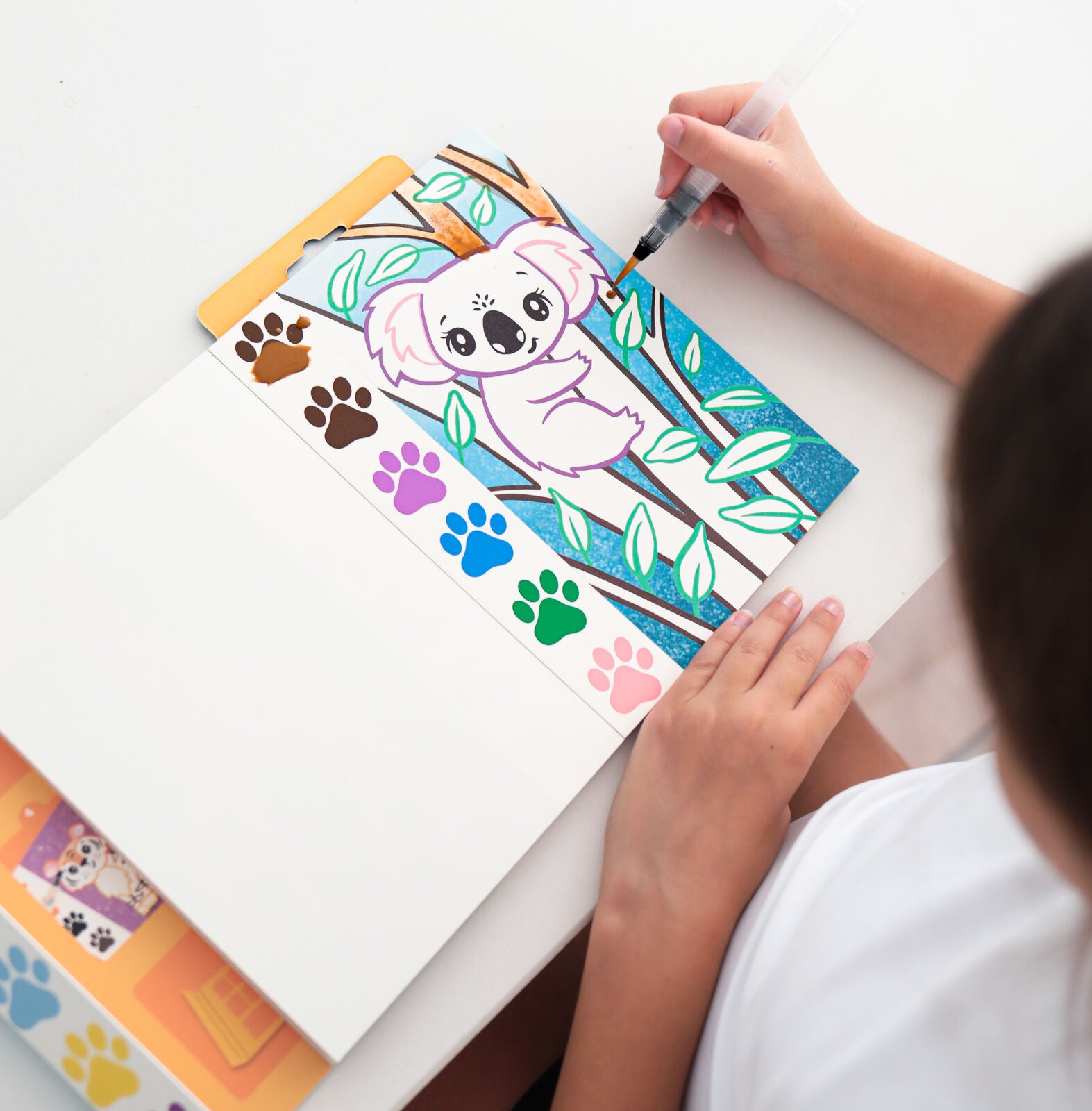 Wild Animals Paint a Picture Set Spotty Dot Toys