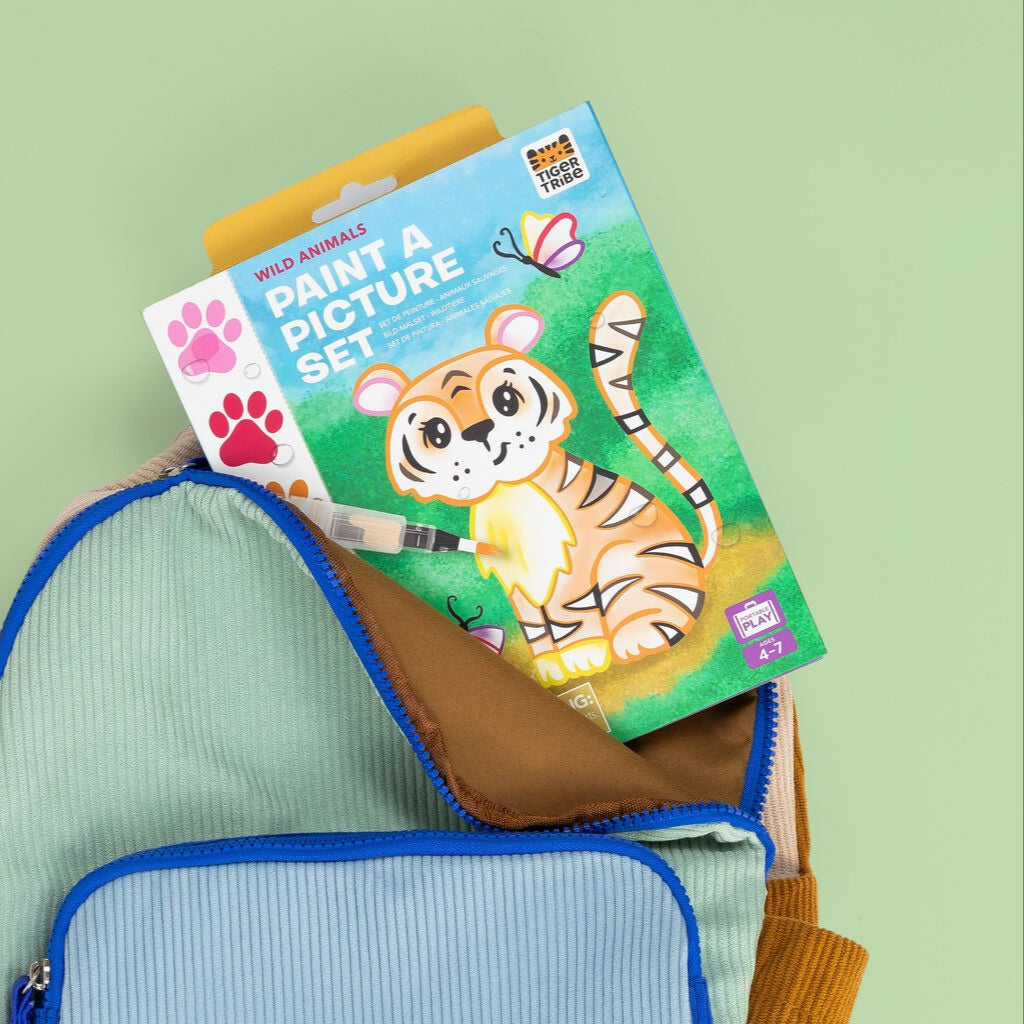 Wild Animals Paint a Picture Set Spotty Dot Toys