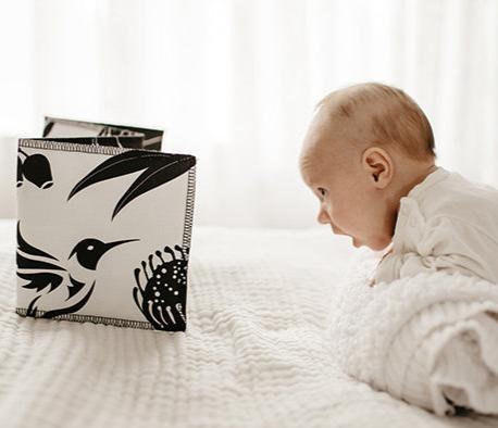 Wildbaby Organic High Contrast Book Spotty Dot