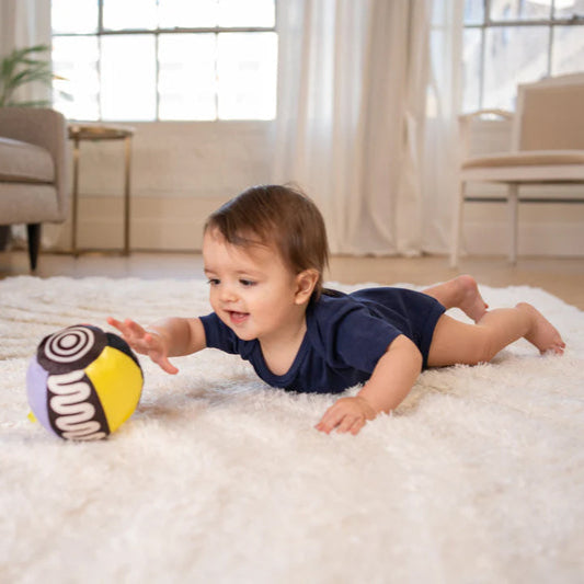 Wimmer Infant Development Sensory Ball