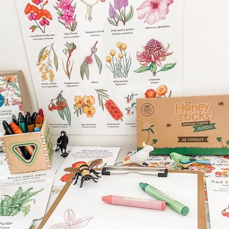 Honeysticks Jumbo Beeswax Crayons - Spotty Dot AU