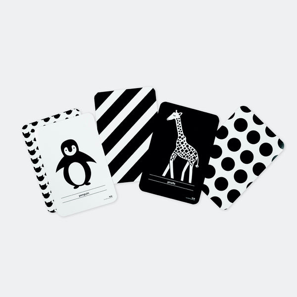 High Contrast Flash Cards by Two Little Ducklings