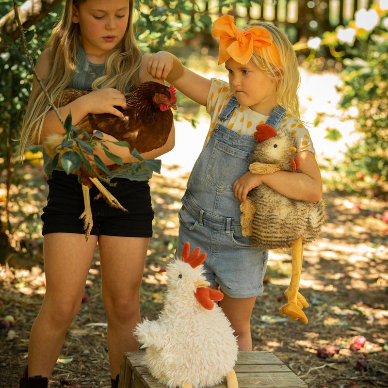 Roy & Rupert Roosters Spotty Dot Toys & Gifts 