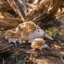Load image into Gallery viewer,  Mini Spike the Echidna Large &amp; Mini Rattle - Spotty Dot AU
