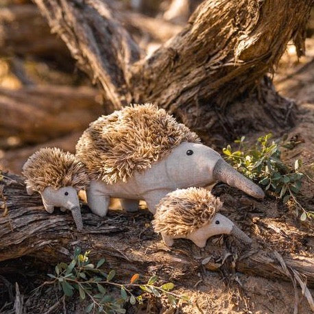 Spike the Echidna & Rattle Spotty Dot Toys